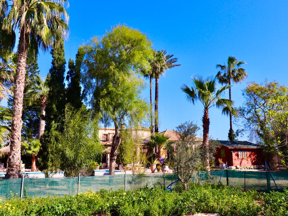 Villa i Almoradi, Alicante - foto 2