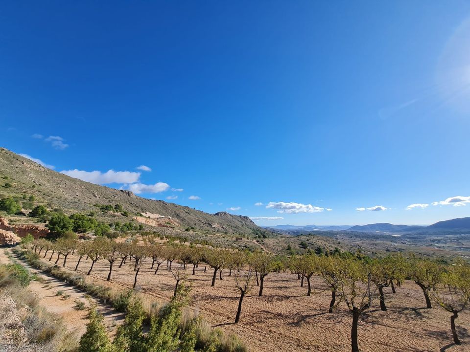 Helårsgrund i La Romana, Alicante - foto 2