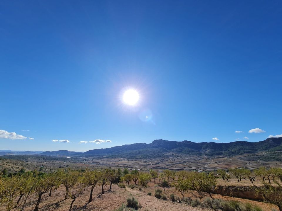 Helårsgrund i La Romana, Alicante - foto 4
