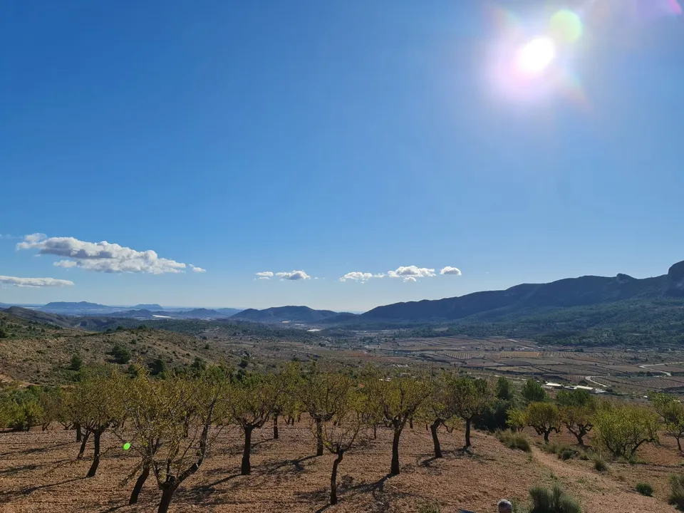 Helårsgrund i La Romana, Alicante - foto 5