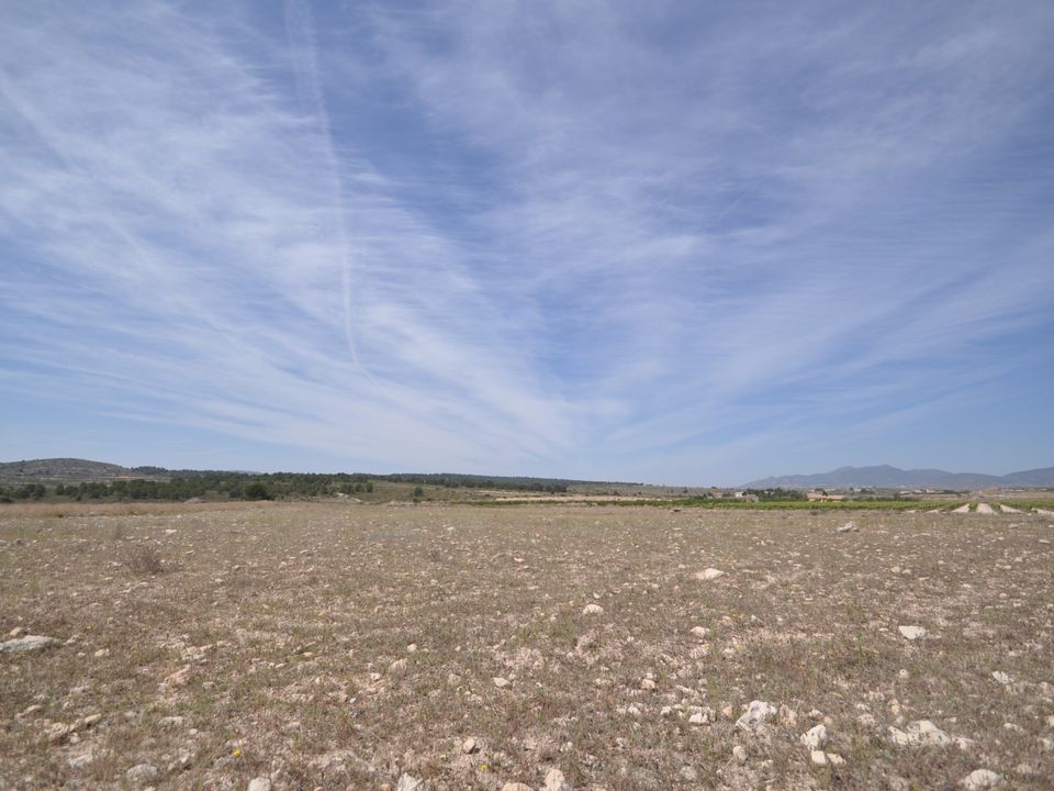 Helårsgrund i Pinoso, Alicante - foto 1