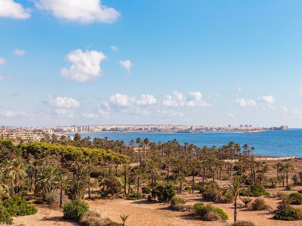 Lejlighed i Punta Prima, Alicante - foto 2