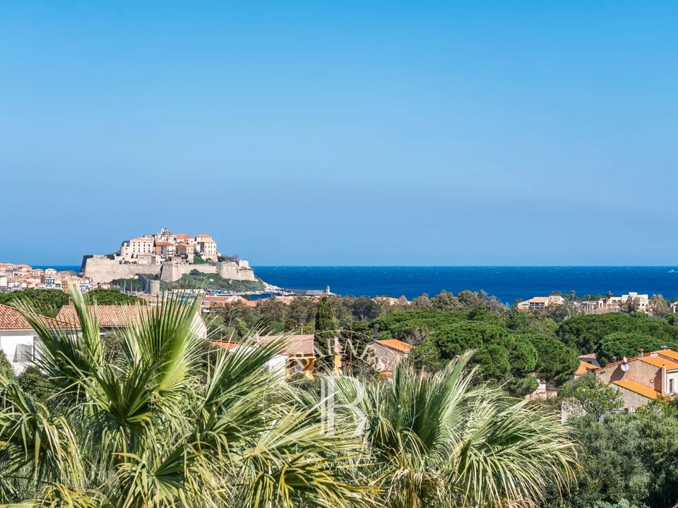 Villa i Calvi, Haute-Corse - foto 1