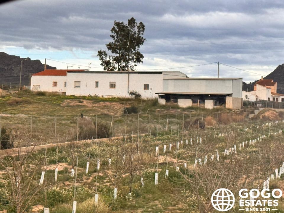 Finca a Cuevas del Almanzora, Almeria - foto 1
