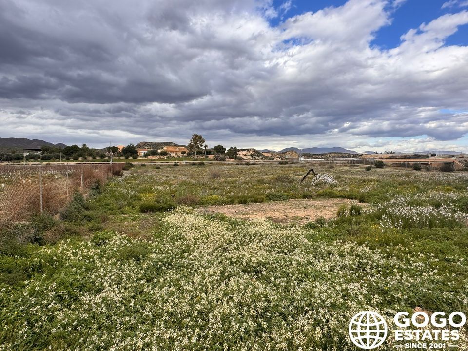 Finca a Cuevas del Almanzora, Almeria - foto 3
