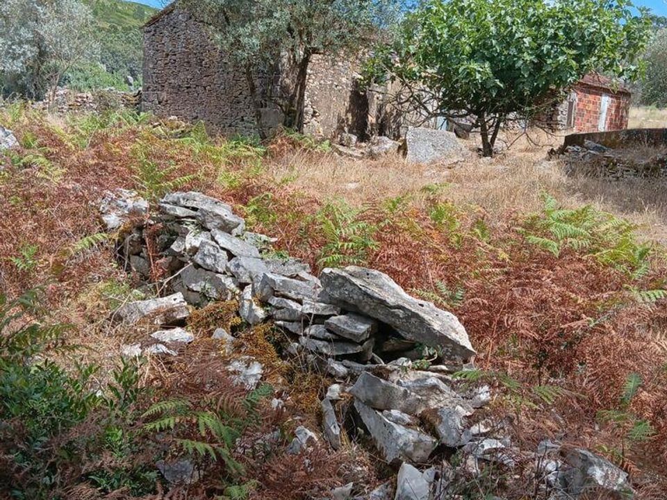 Dom szeregowy: Alcobaca, Leiria – zdjęcie 1