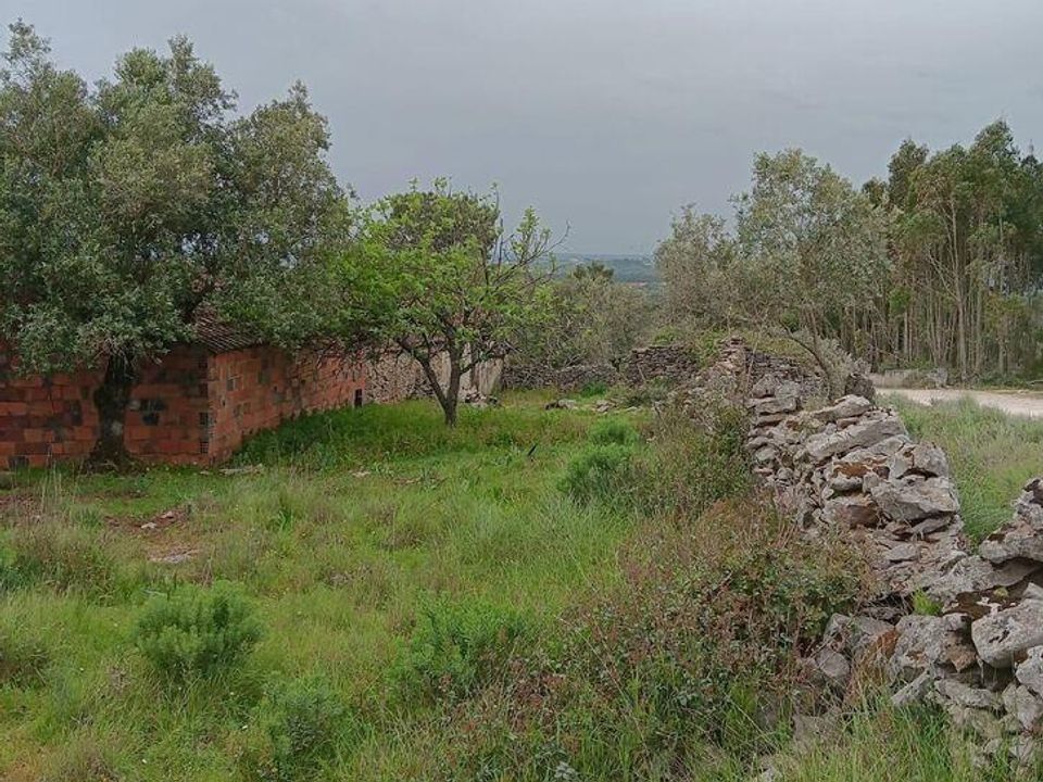 Dom szeregowy: Alcobaca, Leiria – zdjęcie 3