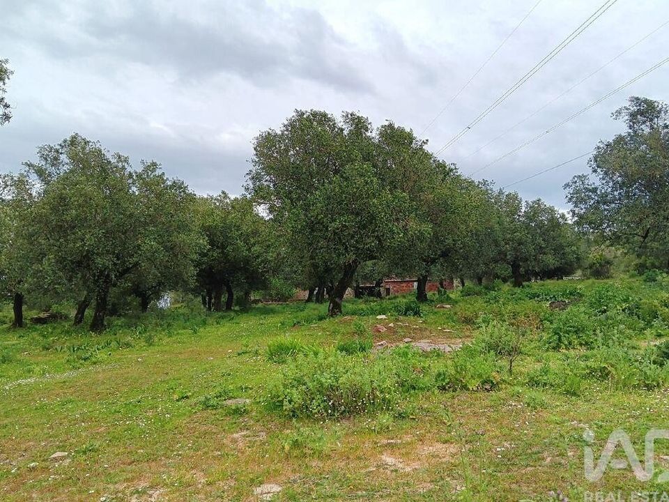 Dom szeregowy: Alcobaca, Leiria – zdjęcie 4
