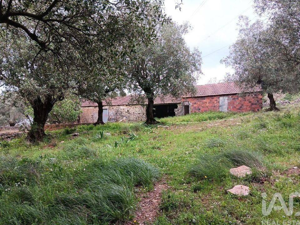 Dom szeregowy: Alcobaca, Leiria – zdjęcie 5