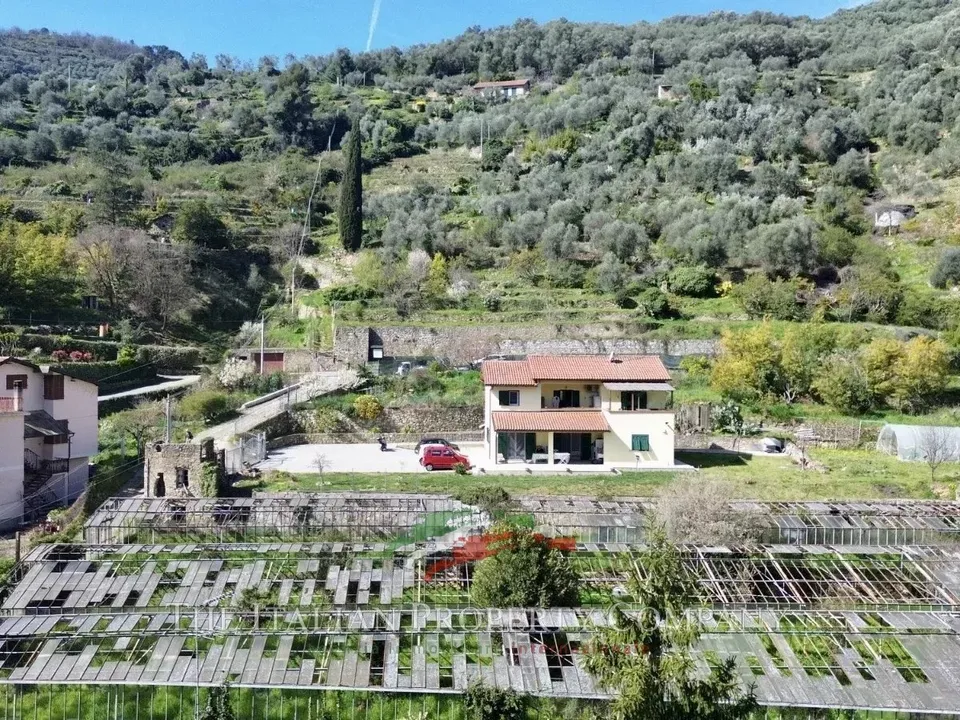 Helårsgrund i Apricale, Imperia - foto 3