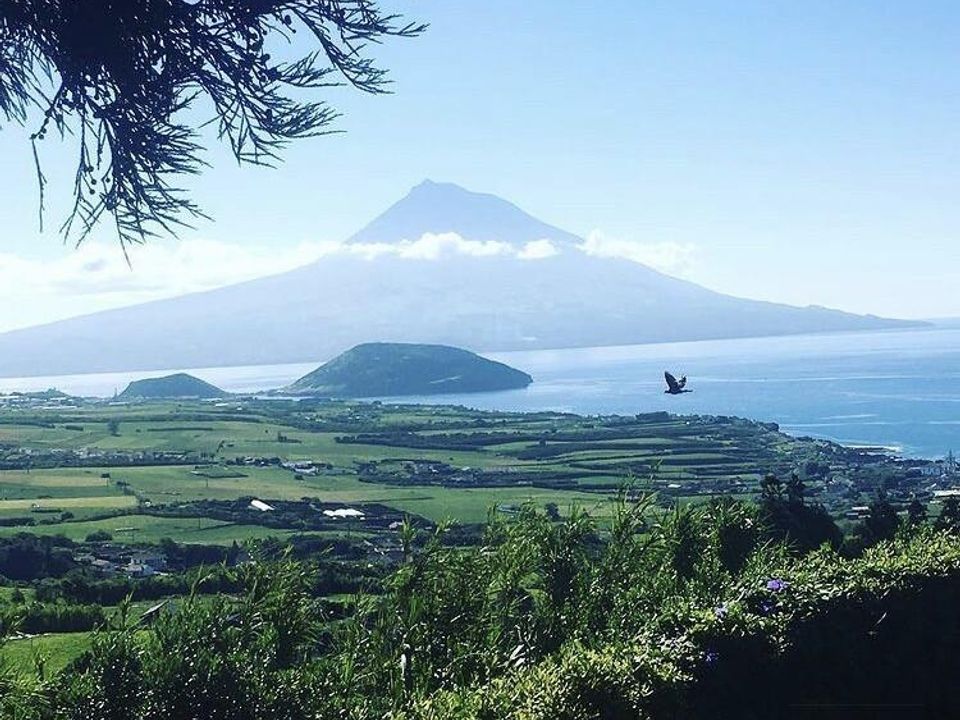 Byhus i Horta, Faial - foto 2