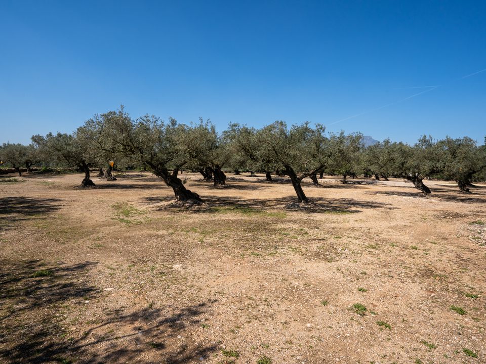 Finca a Roquetes, Tarragona - foto 4