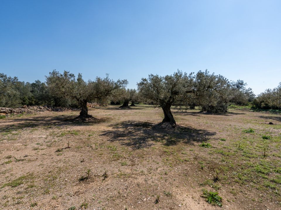 Finca a Roquetes, Tarragona - foto 2