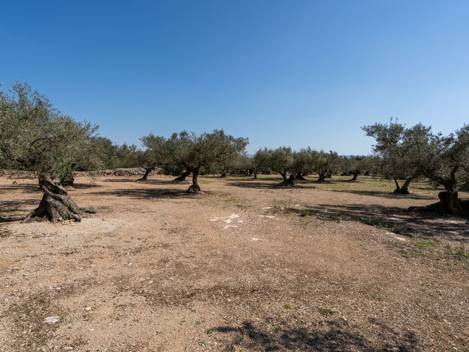 Finca a Roquetes, Tarragona - foto 1