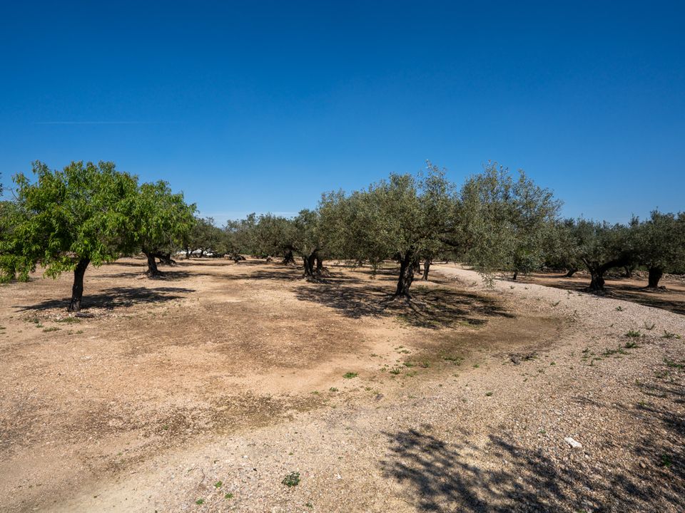 Finca a Roquetes, Tarragona - foto 3