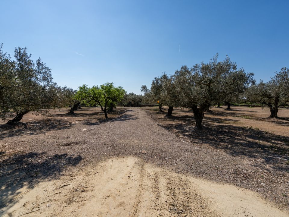 Finca a Roquetes, Tarragona - foto 5
