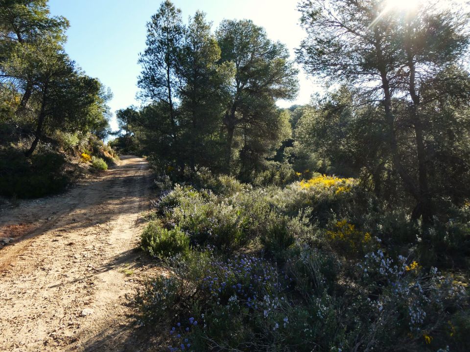 Finca en Batea, Tarragona - foto 4