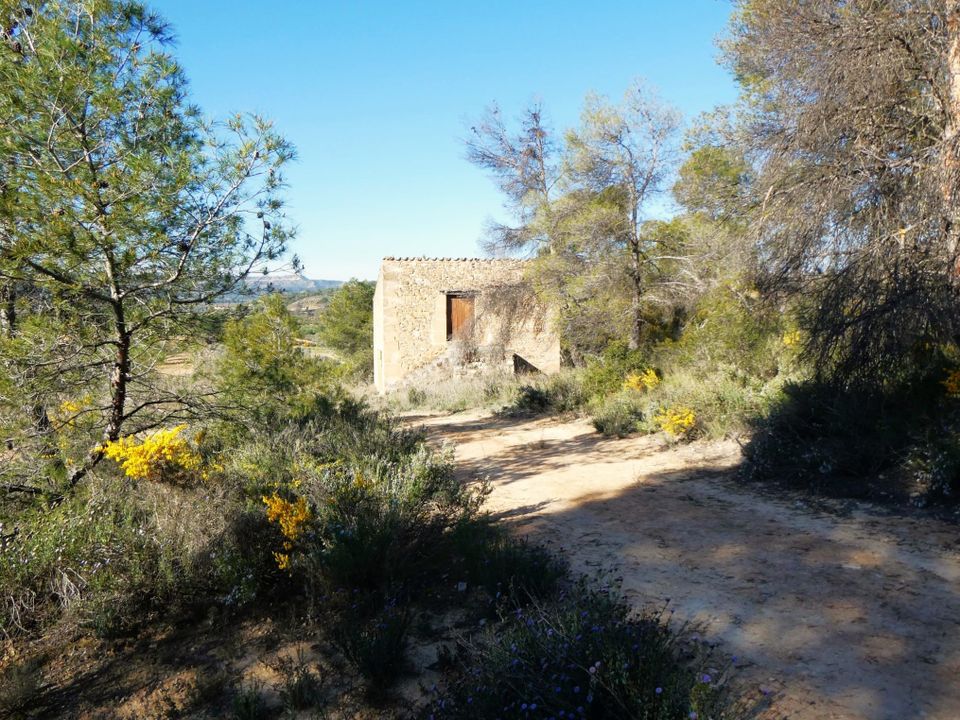 Finca en Batea, Tarragona - foto 1