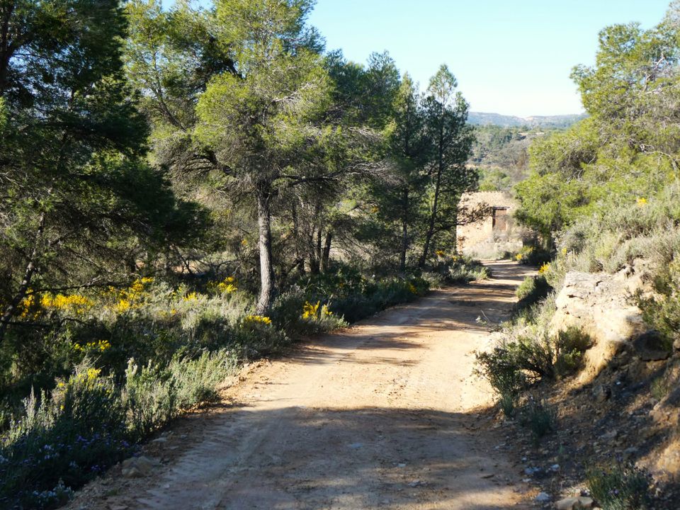 Finca en Batea, Tarragona - foto 3