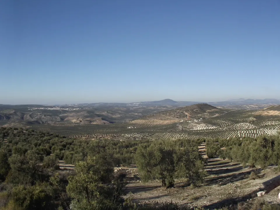 Finca i Antequera, Malaga - foto 5
