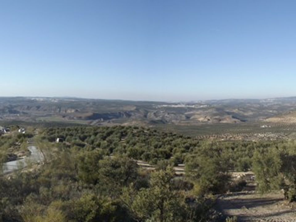 Finca i Antequera, Malaga - foto 4