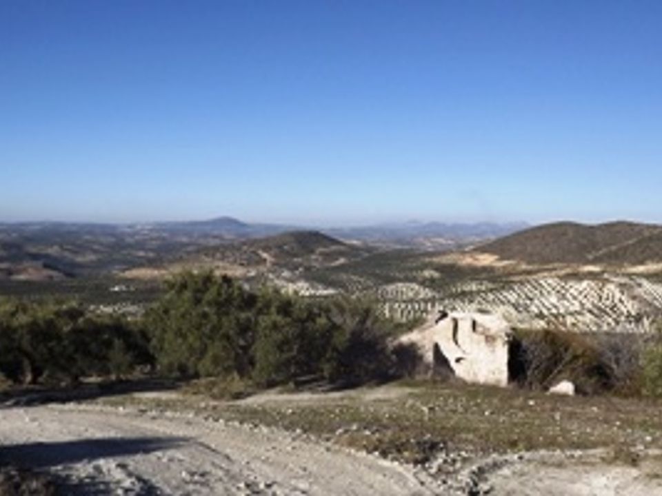 Finca i Antequera, Malaga - foto 1
