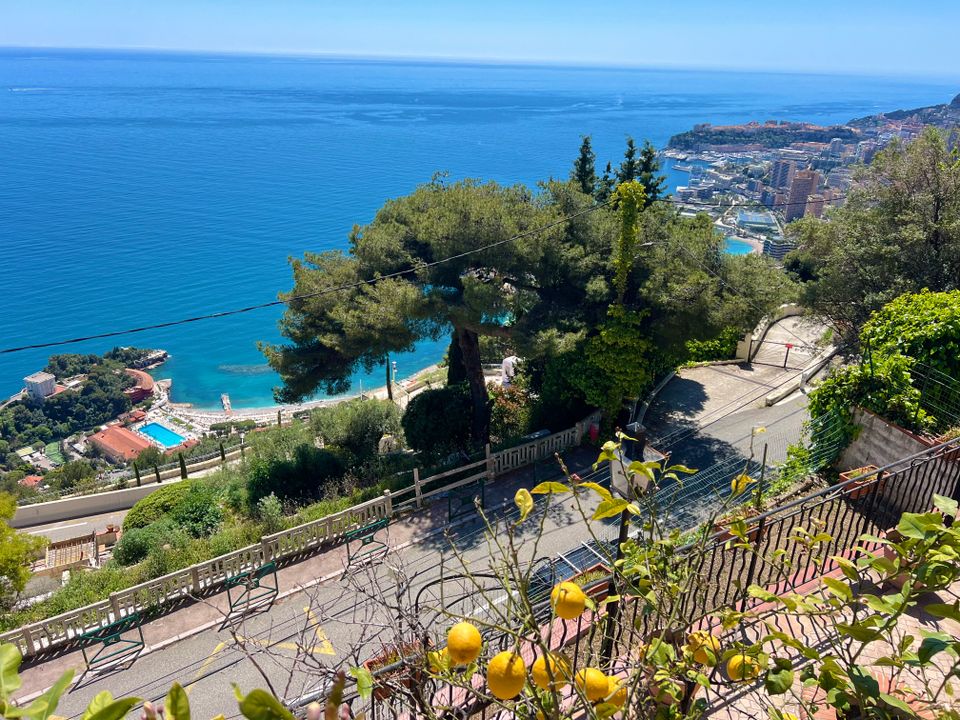 Villa i Roquebrune-Cap-Martin, Alpes-Maritimes - foto 5