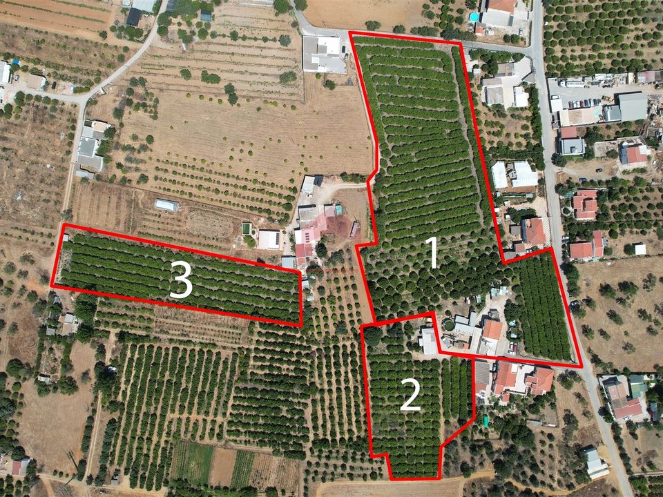 Villa i Faro, Faro - foto 1