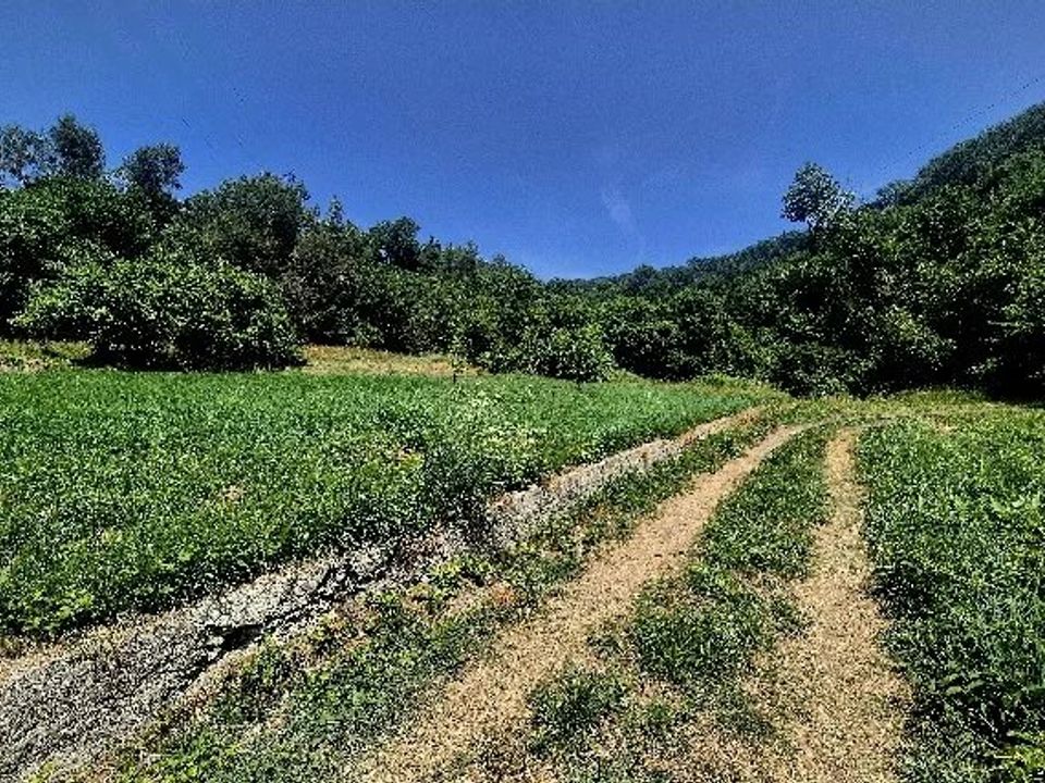 Villa i Contes, Alpes-Maritimes - foto 4