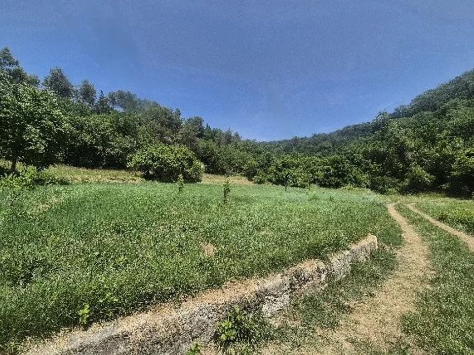 Villa i Contes, Alpes-Maritimes - foto 5