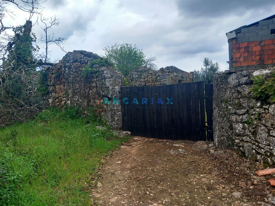 Farm i Ansiao, Leiria - foto 3