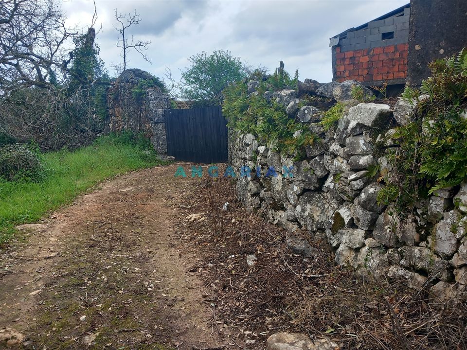 Farm i Ansiao, Leiria - foto 4