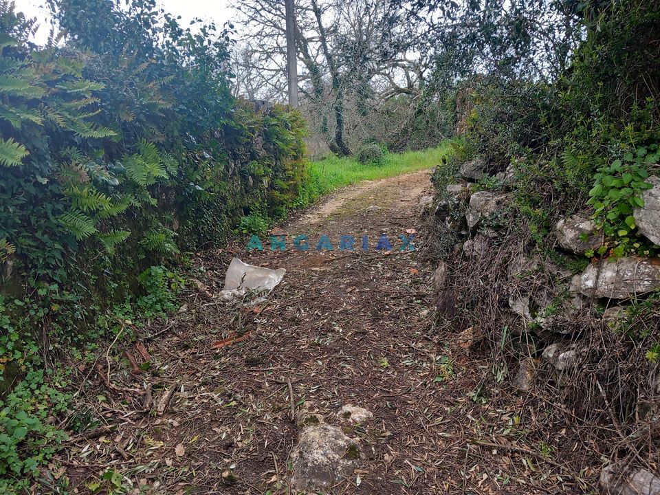 Farm i Ansiao, Leiria - foto 5