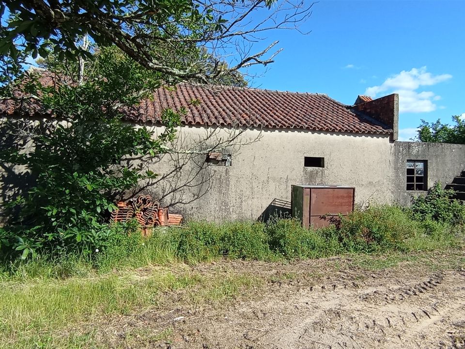 Farm i Penalva do Castelo, Viseu - foto 5