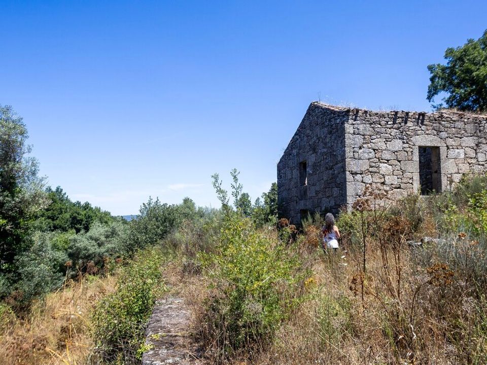 Farm i Melo e Nabais, Guarda - foto 2