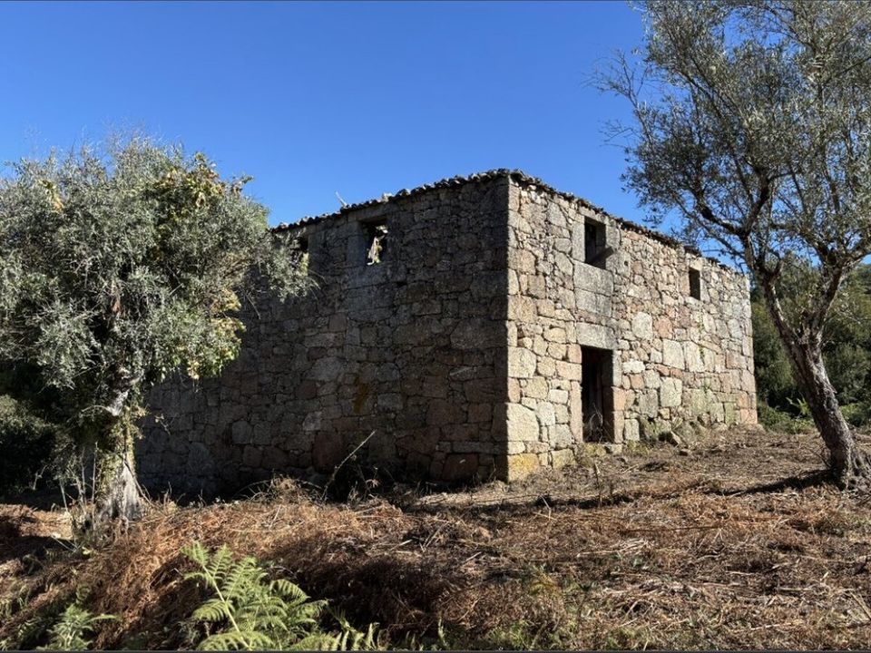 Farm i Melo e Nabais, Guarda - foto 5