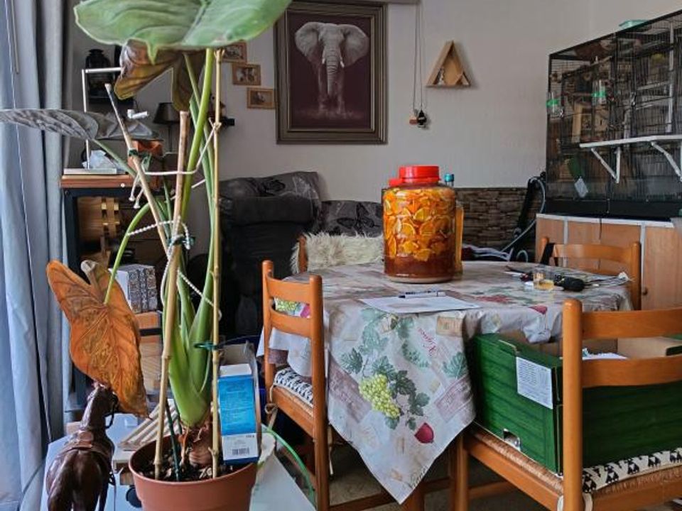 Lejlighed i Vesoul, Haute-Saone - foto 4