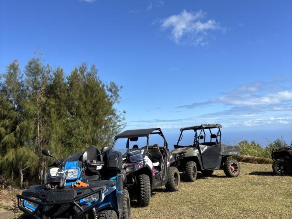 Erhvervsejendom i Saint-Gilles-les-Hauts, La Reunion - foto 3