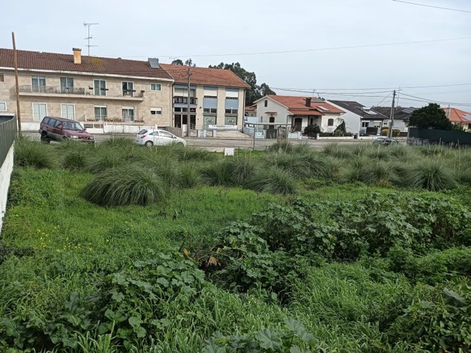 Tomt i Eixo e Eirol, Aveiro - bilde 4