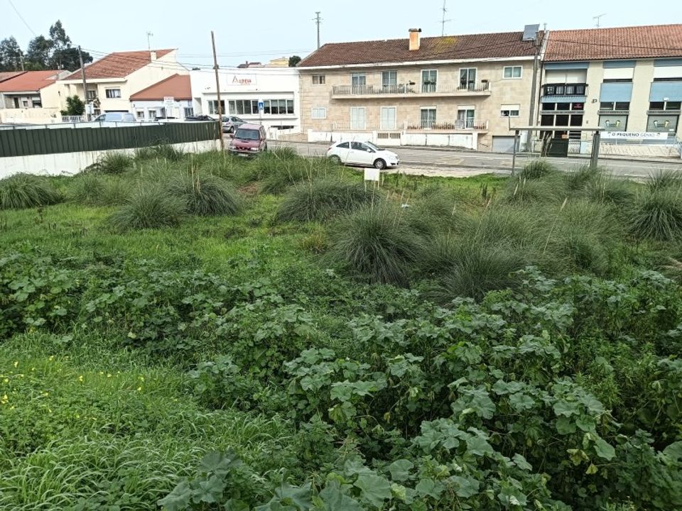 Tomt i Eixo e Eirol, Aveiro - bilde 5