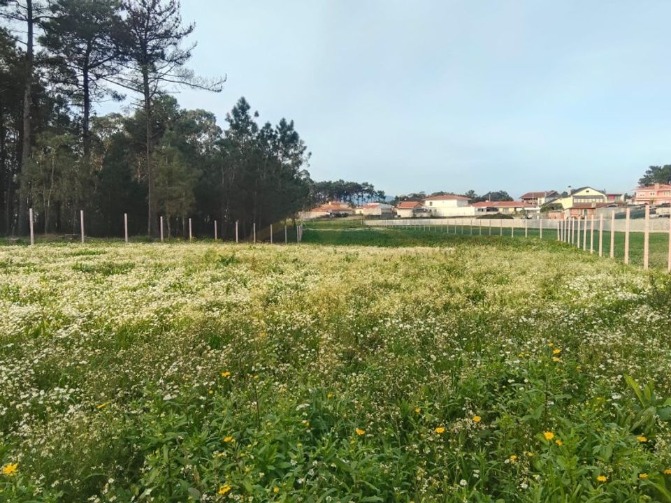 Helårsgrund i Barqueiros, Braga - foto 1
