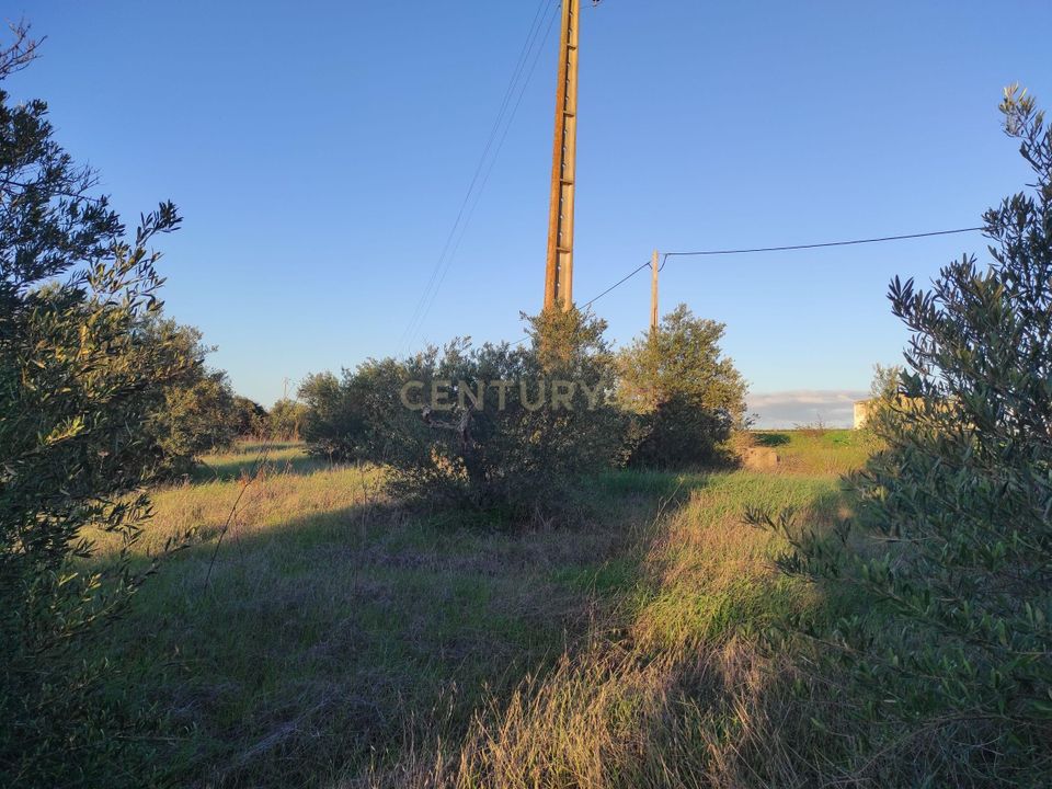 Helårsgrund i Campo Maior, Portalegre - foto 3