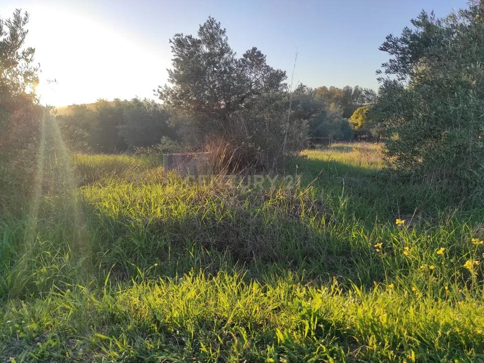 Helårsgrund i Campo Maior, Portalegre - foto 5