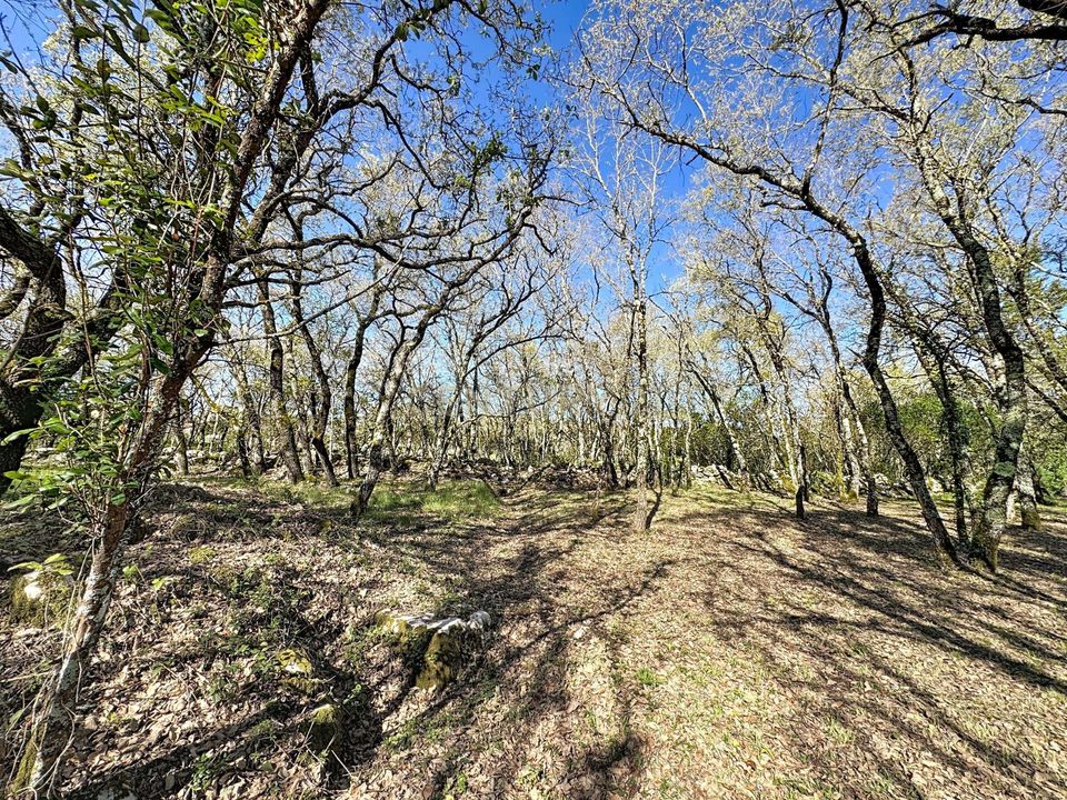 Helårsgrund i Alcobaca, Leiria - foto 2