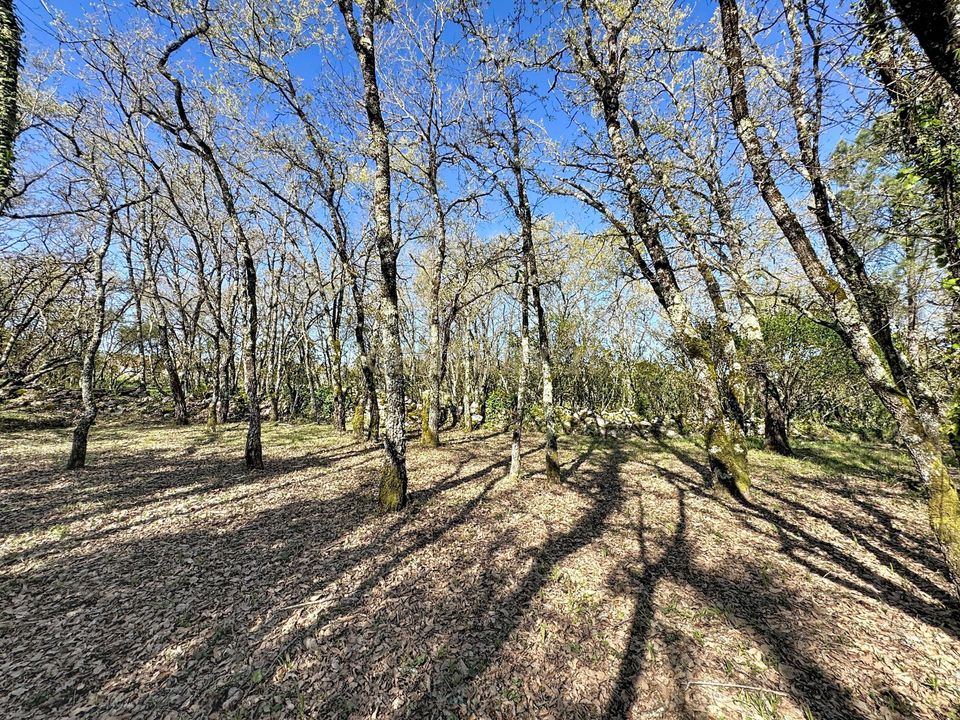 Helårsgrund i Alcobaca, Leiria - foto 3