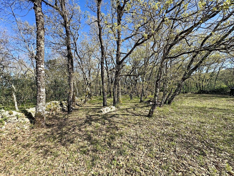Helårsgrund i Alcobaca, Leiria - foto 4