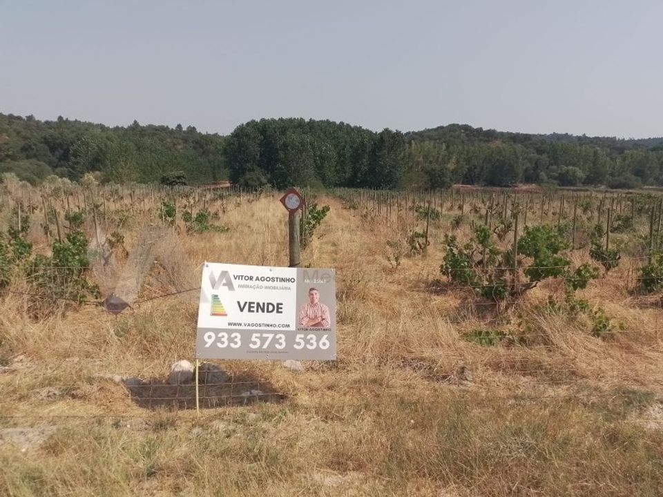 Helårsgrund i Almeirim, Santarem - foto 2