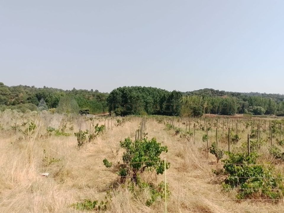 Helårsgrund i Almeirim, Santarem - foto 4