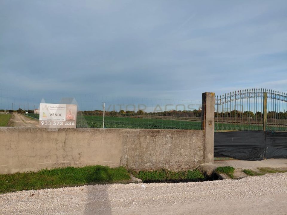 Helårsgrund i Almeirim, Santarem - foto 2