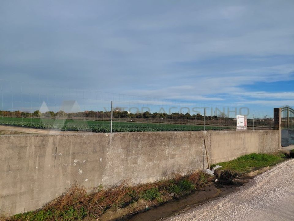 Helårsgrund i Almeirim, Santarem - foto 3